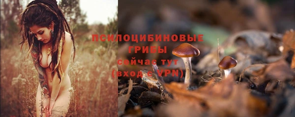 гашиш Богородск