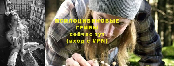 СК Зеленодольск